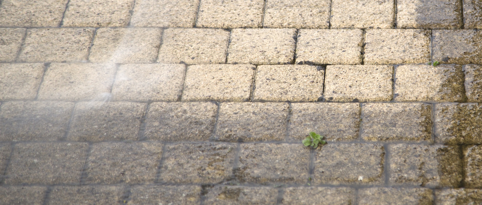 flagging and patios E20