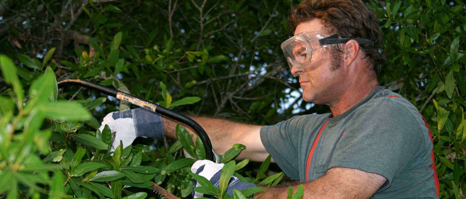 garden clearance E20